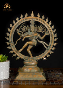 15" Bronze Nataraja Divine Shiva’s Dance - The Eternal Rhythm