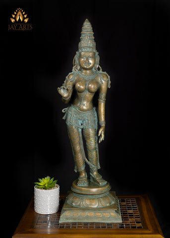 30" Graceful Standing Goddess Sivagami Statue Divine Elegance in Bronze