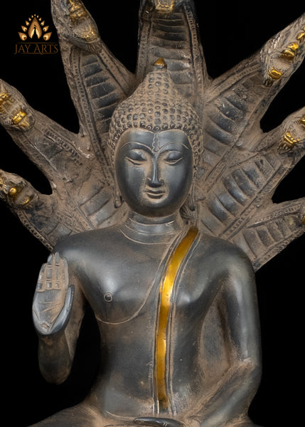 Sacred Naga Buddha Brass Statue with Seven-Headed Serpent 20"
