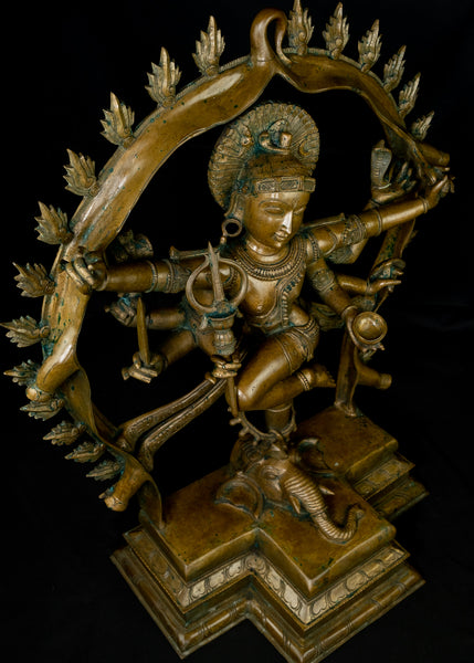 Bronze Gaja Samhara Murthy 38" - Lord Shiva as the Destroyer of the Elephant demon, a popular icon in the Chola art - Lost-Wax Method Sculpture