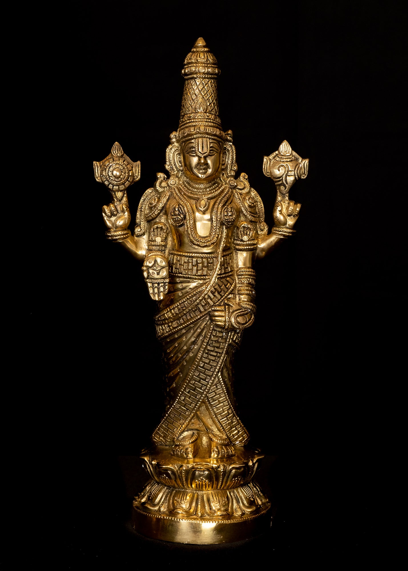Sri Venkateswara on a Full Bloomed Lotus
