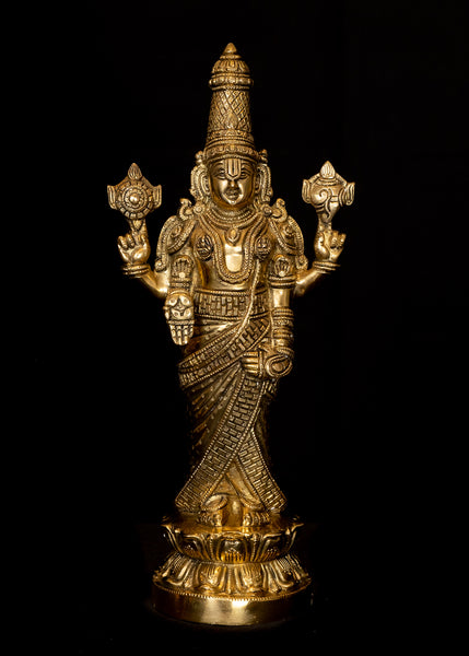 Sri Venkateswara on a Full Bloomed Lotus