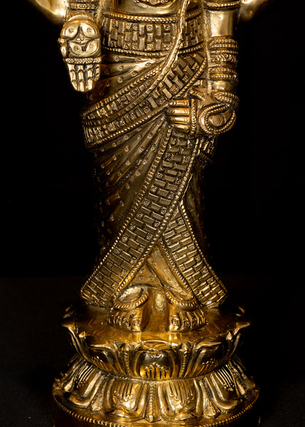 Sri Venkateswara on a Full Bloomed Lotus